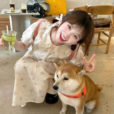 爱情是毒药